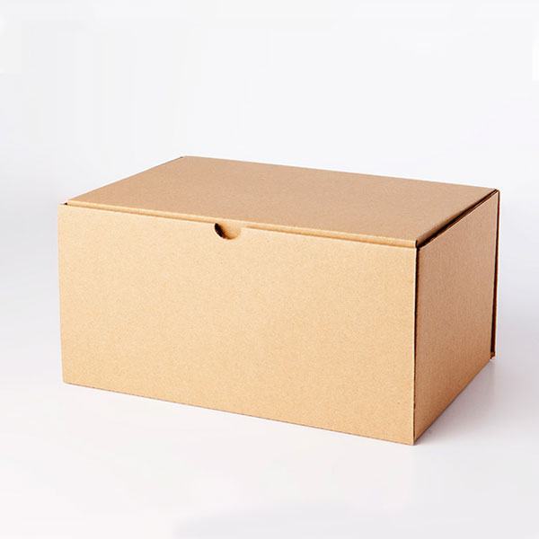 Caja de cartón automontable 14/1 kraft