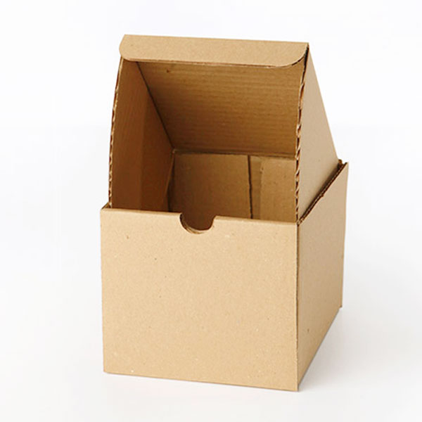 Caja de cartón automontable 15/1 kraft