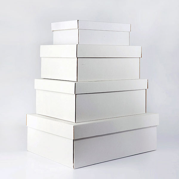 Cajas de cartón con tapa y fondo para zapatos blancas SB1